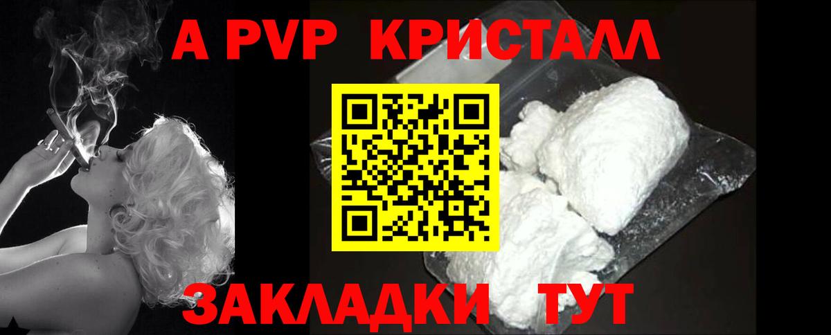 A PVP СК Сегежа