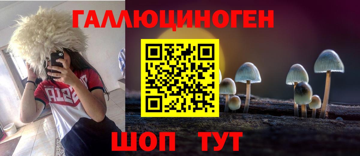 Сегежа  Псилоцибиновые грибы прущие грибы  Вход с VPN 